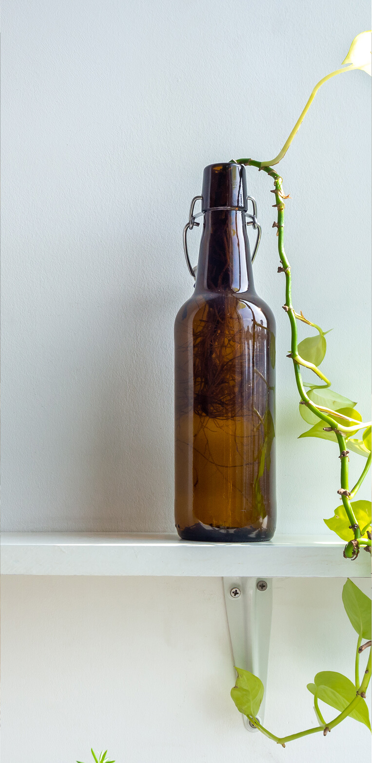 fahrer-portrait-lieferwagen-auslieferung-getraenke-michel